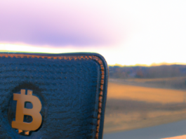 A photo of a leather wallet with the bitcoin logo etched onto it.