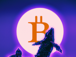 Digital art of a whale with the Bitcoin logo in the background.